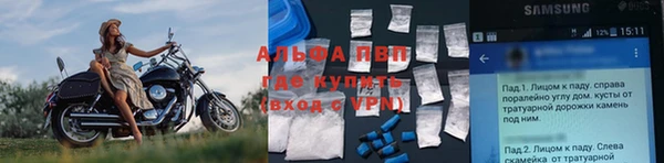 СК Корсаков