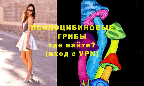 прущие крисы Коряжма