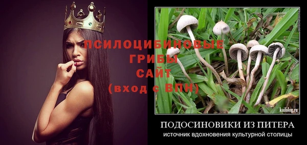 спайс Костерёво
